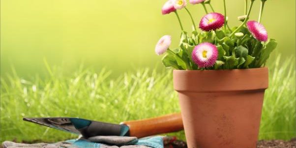 Get a Head Start on Spring