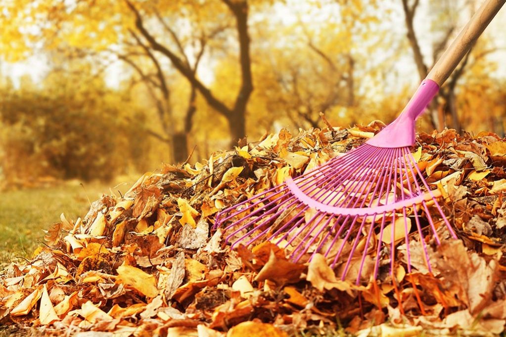 Fall Home Maintenance Checklist Fall Home Maintenance Checklist
