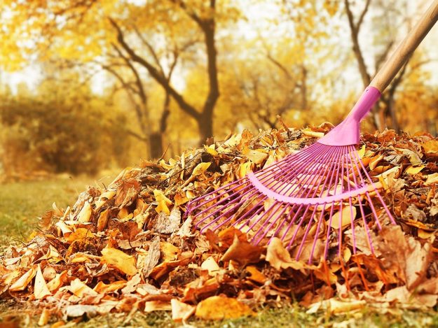 Fall Home Maintenance Checklist Fall Home Maintenance Checklist