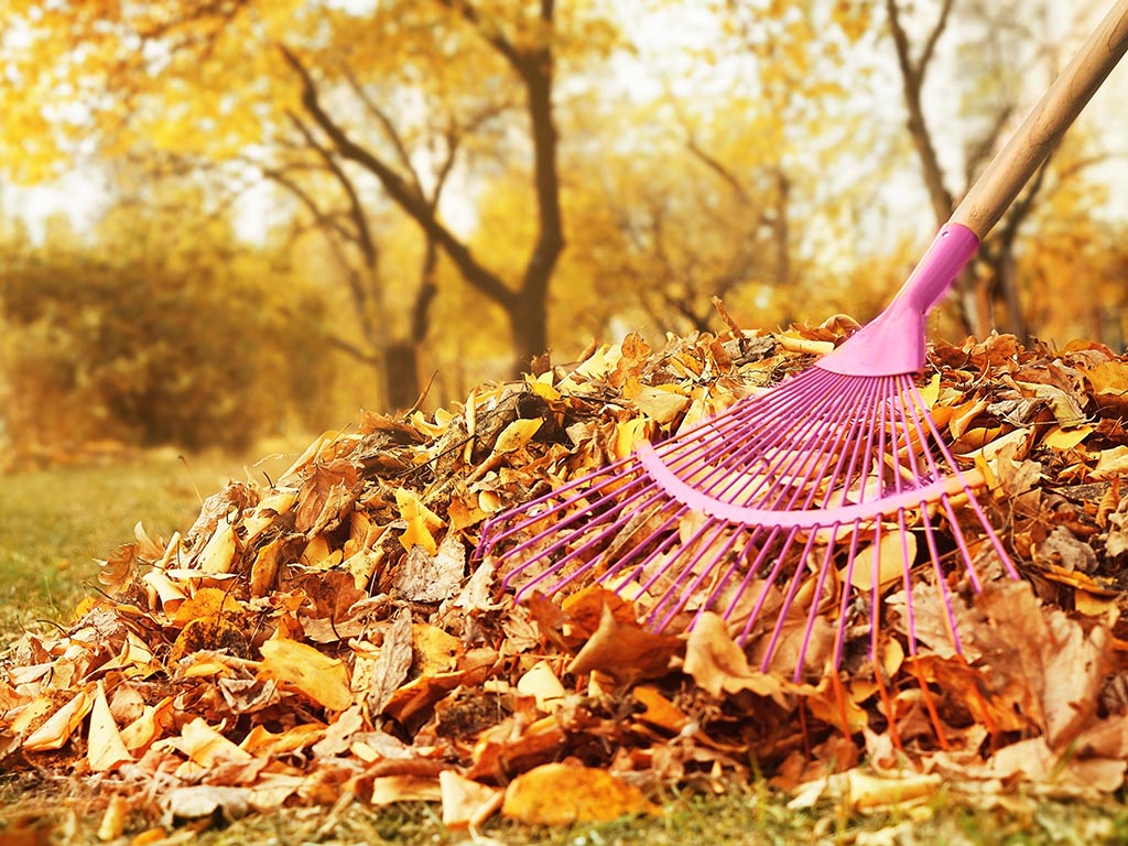 Fall Home Maintenance Checklist