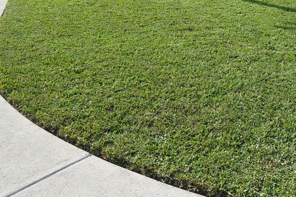 4 Ways To Care For Your Lawn And Keep It Weed Free 4 Ways To Care For Your Lawn And Keep It Weed Free