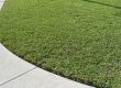 4 Ways To Care For Your Lawn And Keep It Weed Free