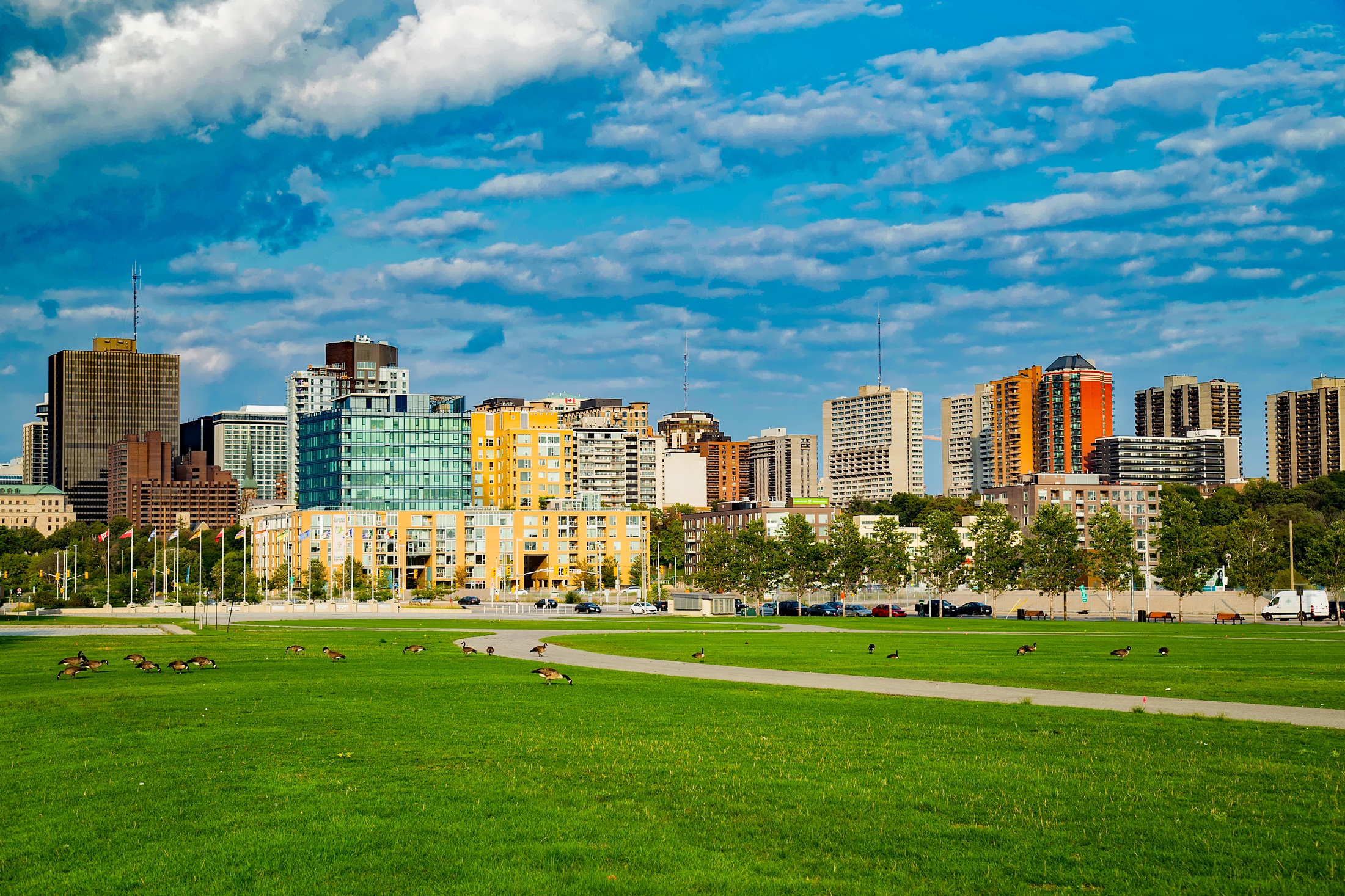 grass-horizon-sky-skyline-lawn-city-1171021-pxhere.com
