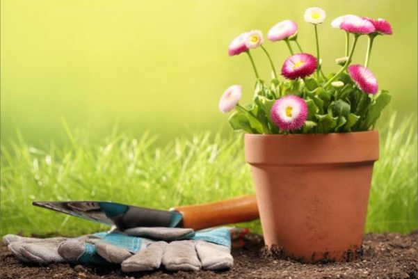 Get a Head Start on Spring